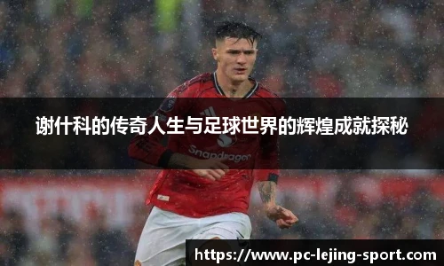 谢什科的传奇人生与足球世界的辉煌成就探秘
